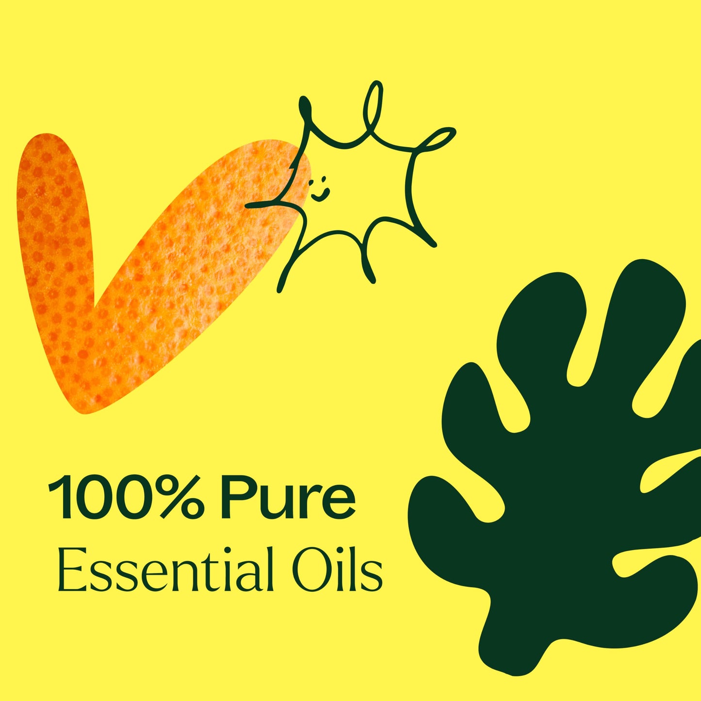 Plant Therapy Tropical Scents Home Set — 3 Essential Oil Blends (Honeybell, Lime in the Coconut, Tropical Passion) 10 mL Each