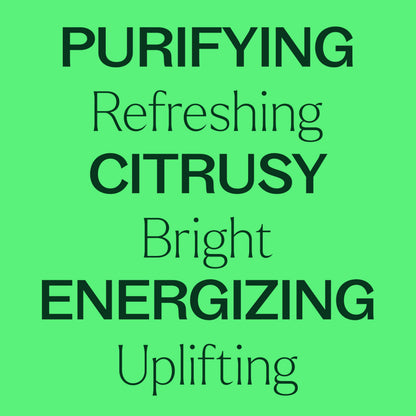 Plant Therapy Lime Steam Distilled Essential Oil 10 mL – 100% Pure, Therapeutic Grade