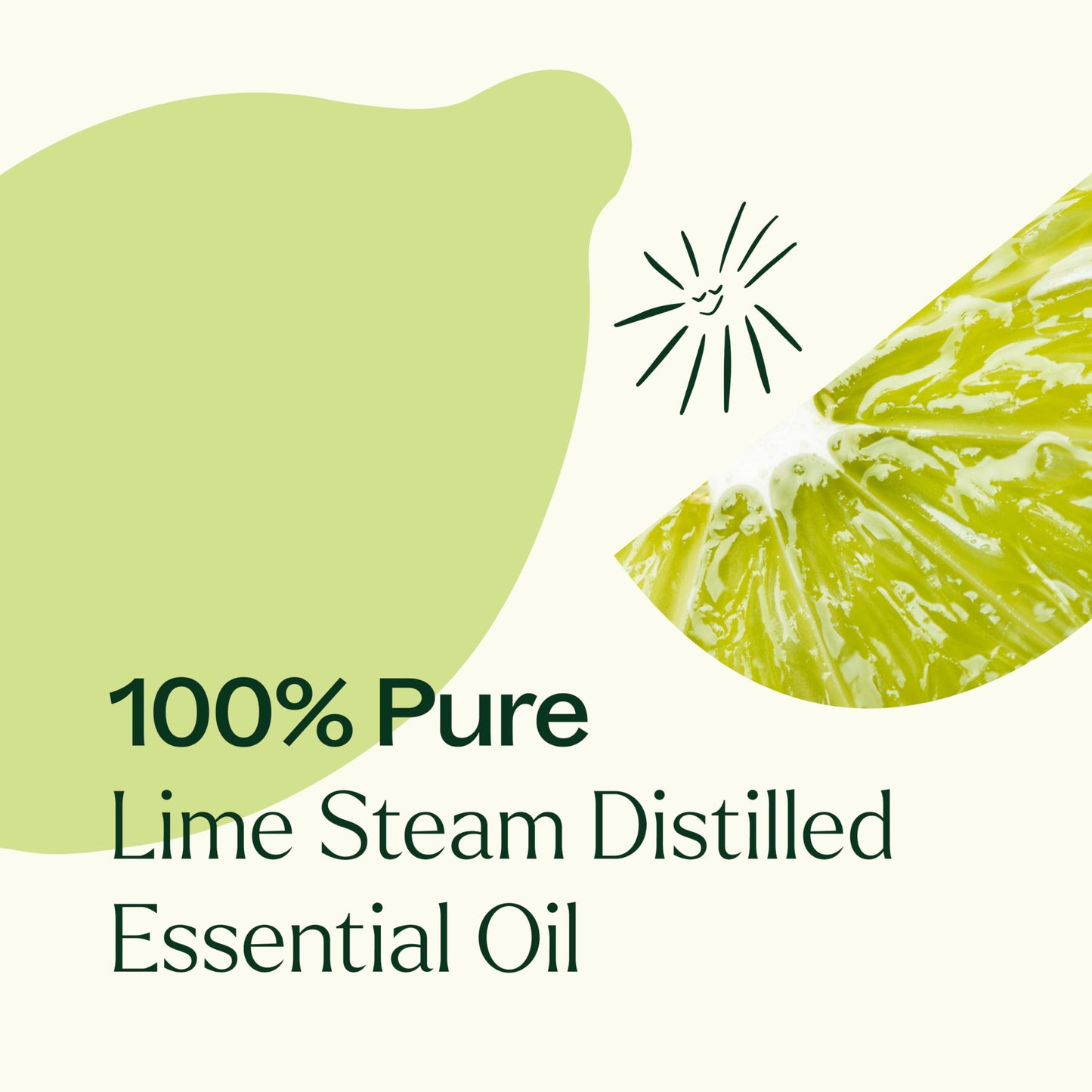 Plant Therapy Lime Steam Distilled Essential Oil 10 mL – 100% Pure, Therapeutic Grade