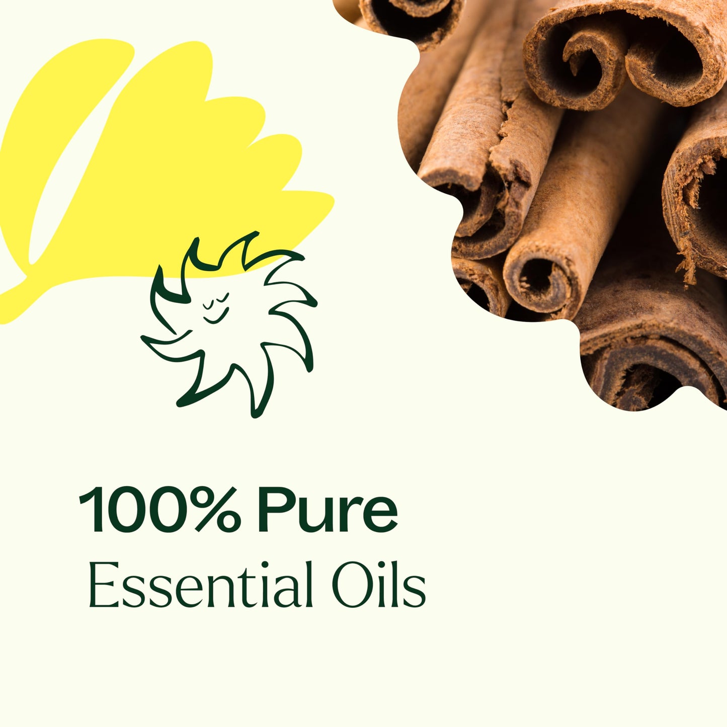 Plant Therapy Organic Fighter Essential Oil Blend 10 mL – 100% Pure & Therapeutic Grade
