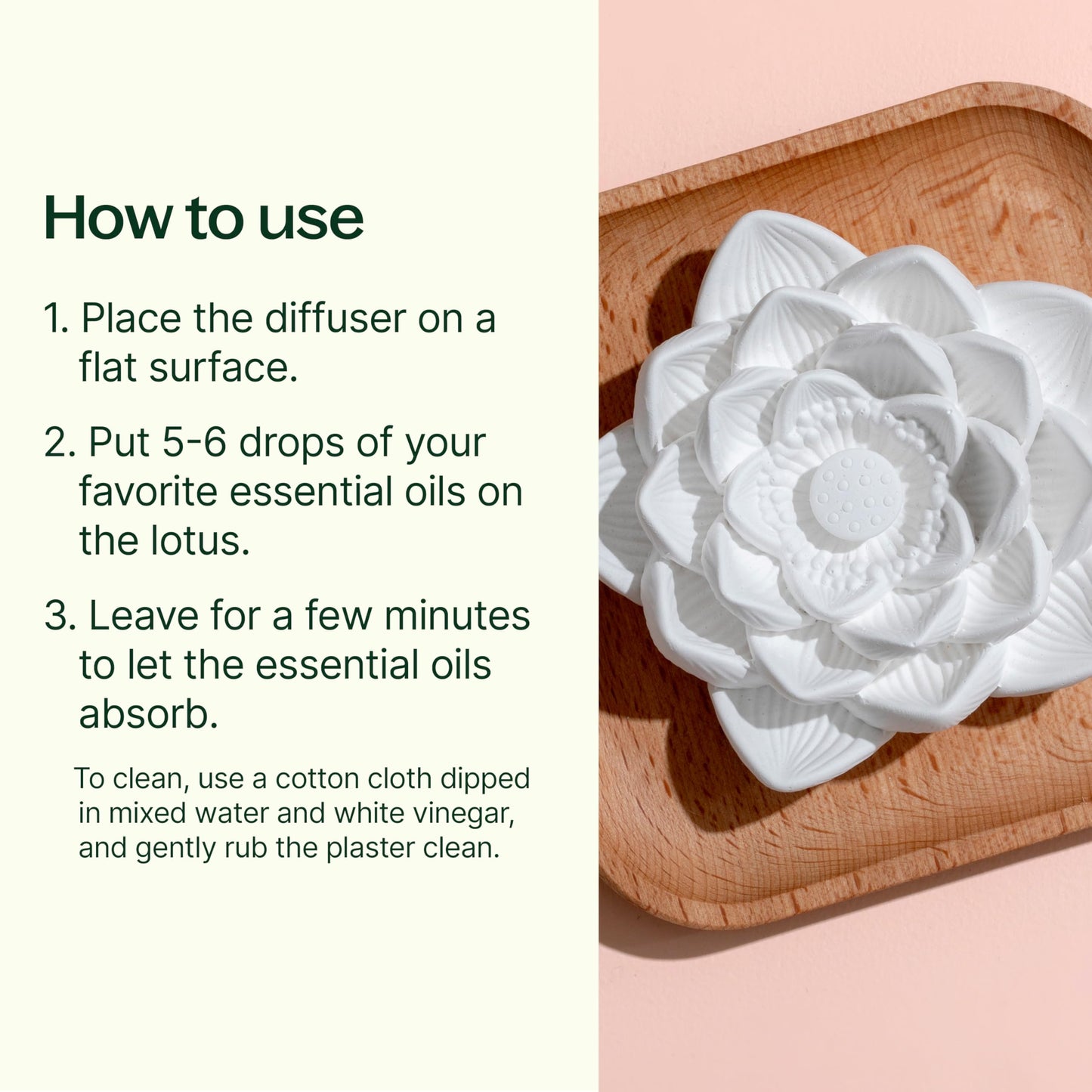 Plant Therapy Passive Lotus Flower Diffuser – No Water or Electricity