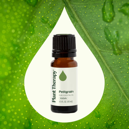 Plant Therapy Petitgrain Essential Oil 10 mL – 100% Pure, Undiluted, Therapeutic Grade