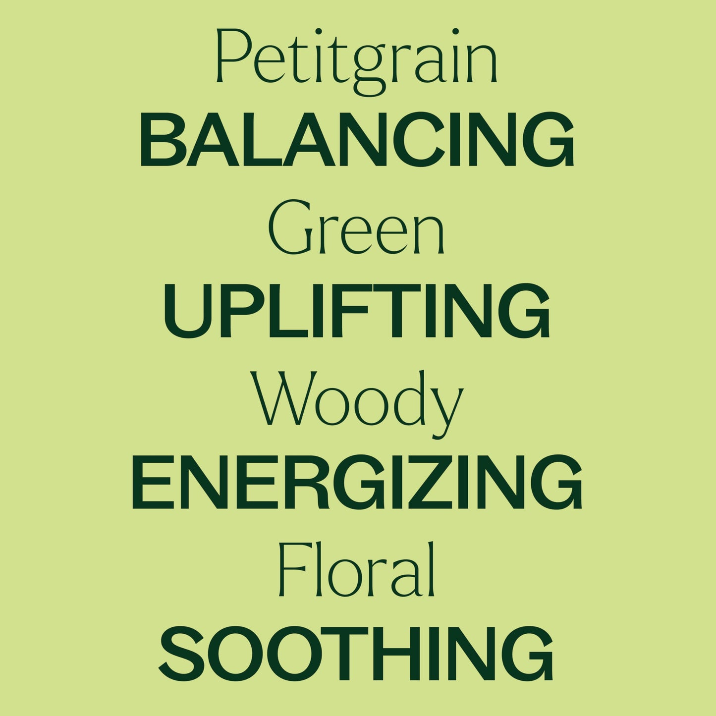 Plant Therapy Petitgrain Essential Oil 10 mL – 100% Pure, Undiluted, Therapeutic Grade