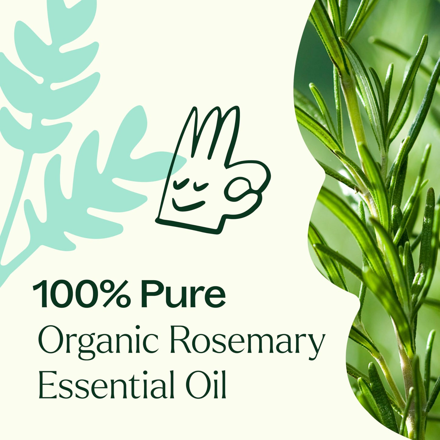 Plant Therapy Organic Rosemary Essential Oil - 100% Pure, USDA Certified Organic, 30 mL