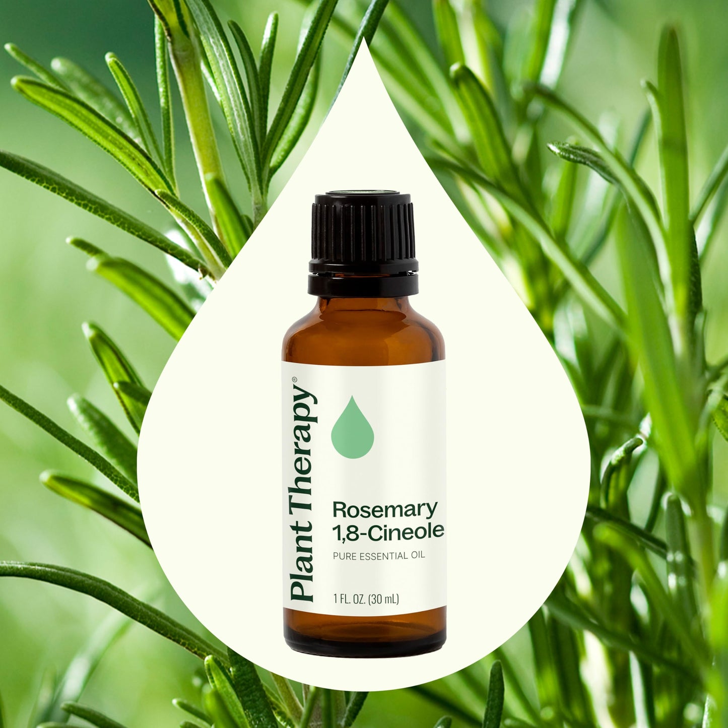 Plant Therapy Rosemary Essential Oil for Hair Growth – 100% Pure, Undiluted, Therapeutic Grade 30 mL (1 oz)