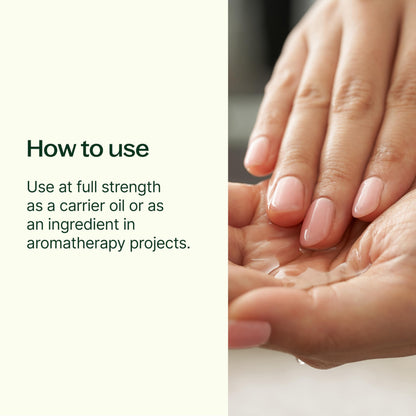 Plant Therapy Sweet Almond Oil 4 oz - 100% Pure Cold-Pressed (Made in USA) for Skin, Hair & Baby
