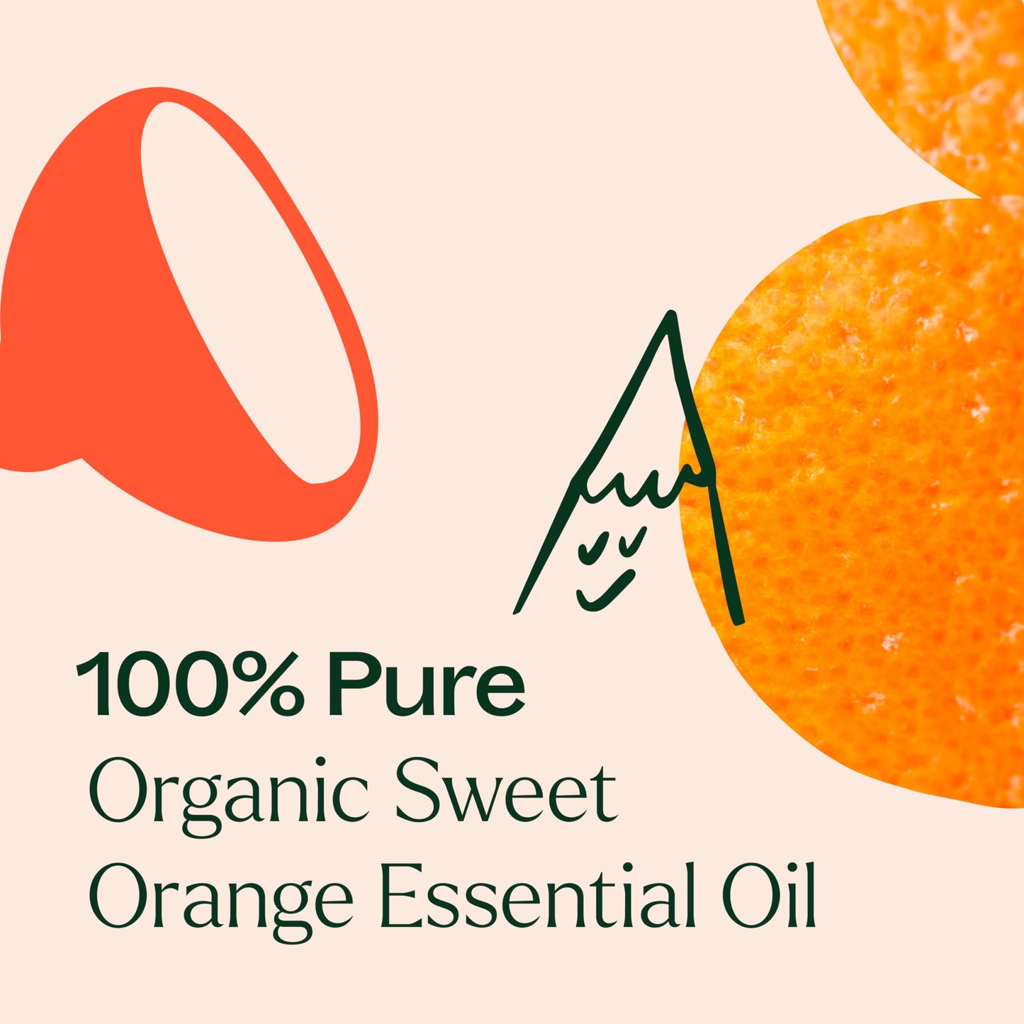 Plant Therapy Sweet Orange Organic Essential Oil – 10 mL, 100% Pure