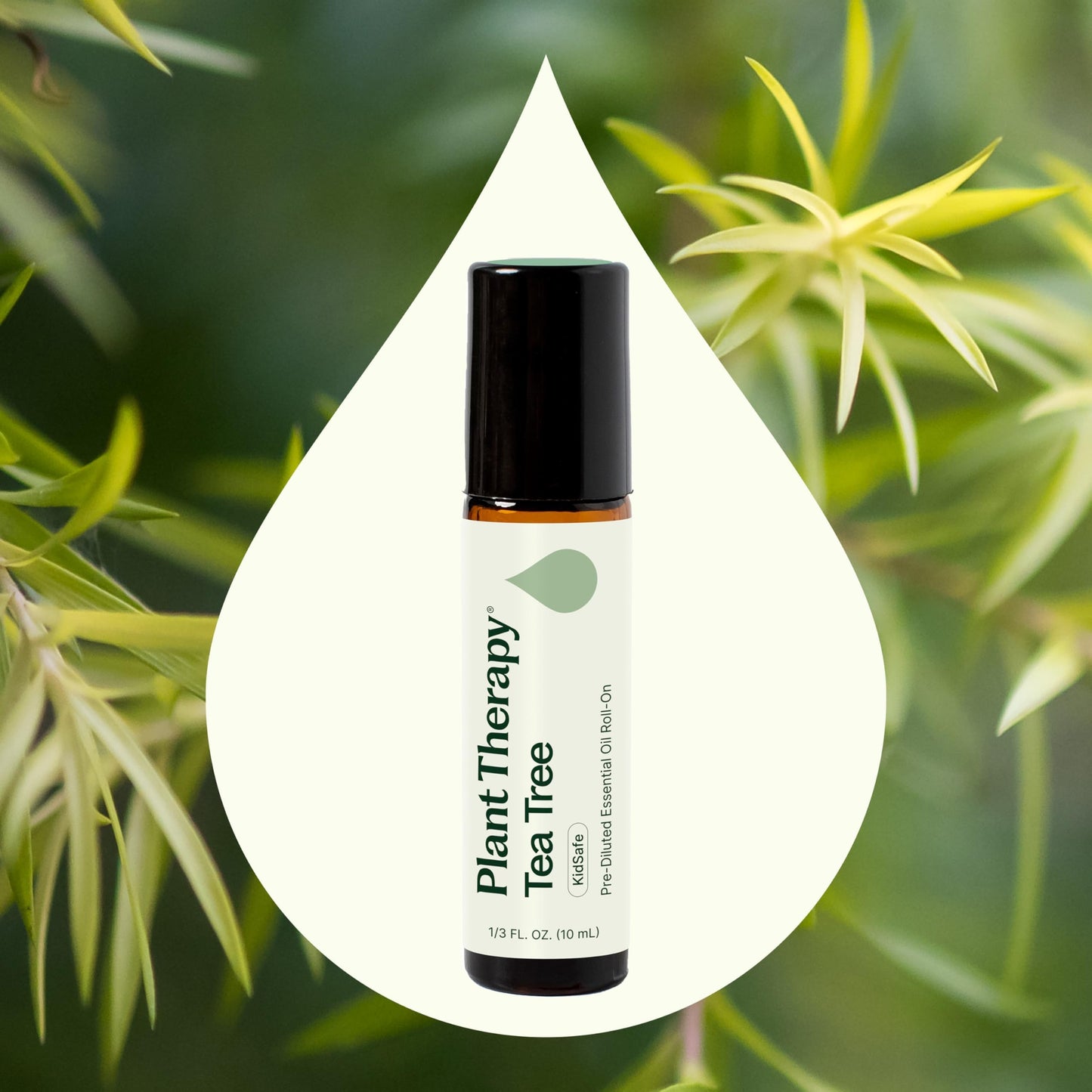 Plant Therapy Tea Tree Essential Oil – 100% Pure, Pre-Diluted Roll-On, 10 mL | Therapeutic Grade