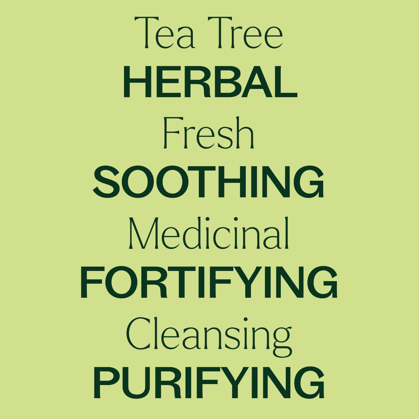 Plant Therapy Tea Tree Essential Oil – 100% Pure, Pre-Diluted Roll-On, 10 mL | Therapeutic Grade