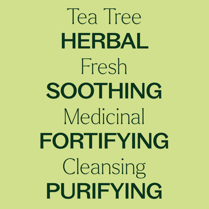 Tea Tree Essential Oil by Plant Therapy – 100% Pure, 100 mL (3.3 oz)