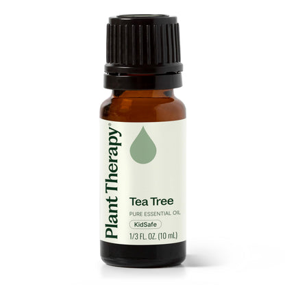Tea Tree Essential Oil - 100% Pure & Undiluted (10 mL) | Plant Therapy