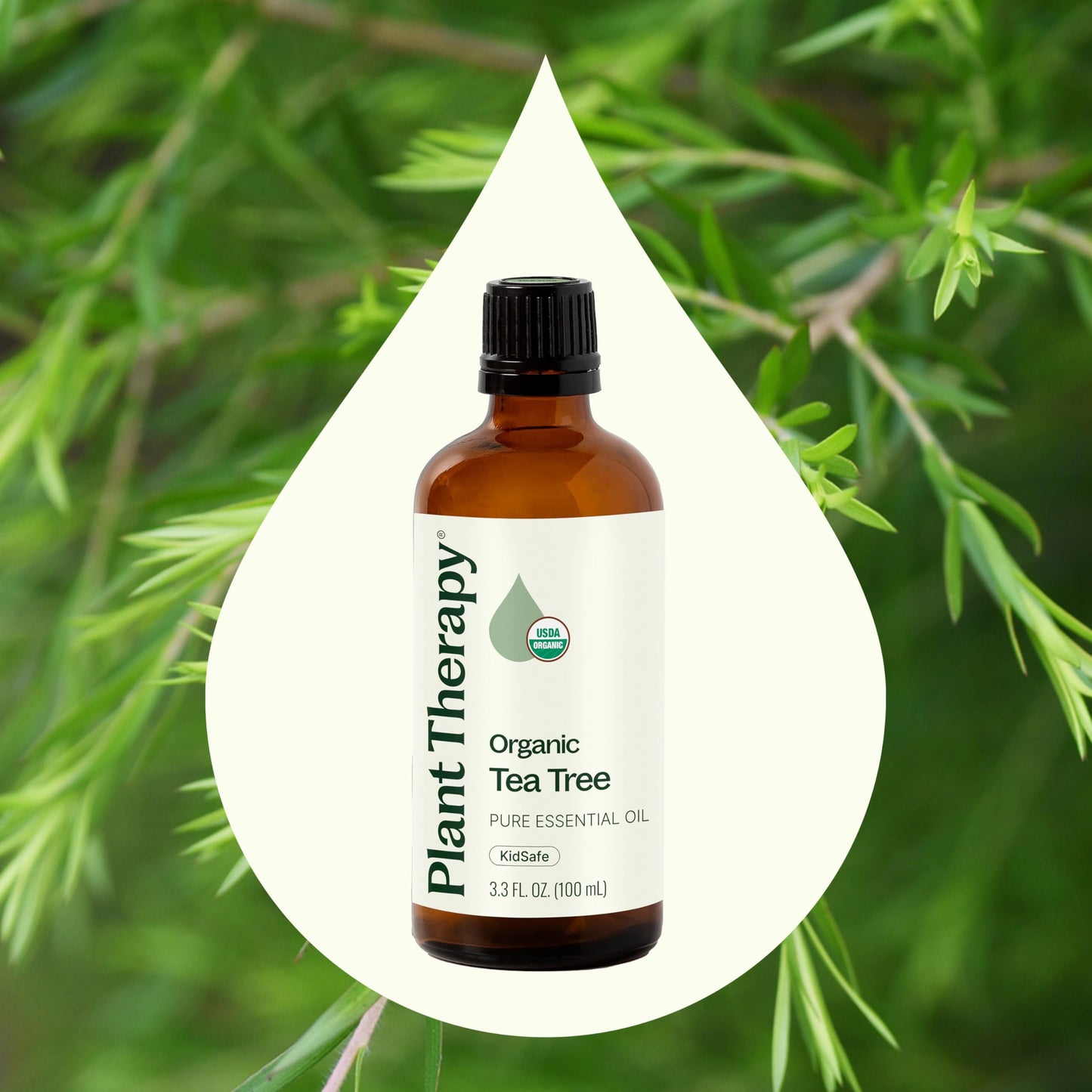Plant Therapy Tea Tree Oil – 100 mL (3.3 oz) | 100% Pure, USDA Organic, Undiluted, Therapeutic Grade