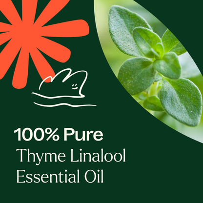 Plant Therapy Thyme Linalool Essential Oil 10 mL | 100% Pure & Therapeutic Grade