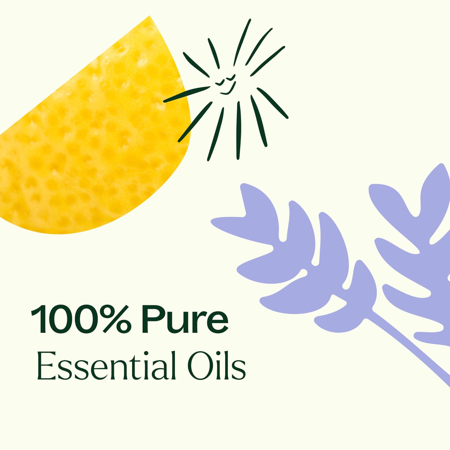 Plant Therapy Top 6 USDA Organic Essential Oil Set – Lavender, Peppermint, Eucalyptus, Lemon, Sweet Orange, Tea Tree (10 mL)