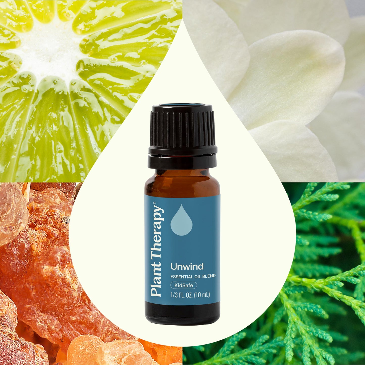 Plant Therapy Unwind Essential Oil Blend 10 mL (1/3 oz) 100% Pure, Undiluted, Natural Aromatherapy