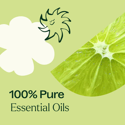 Plant Therapy Vanilla Sea Salt Essential Oil Blend - 10 mL, 100% Pure
