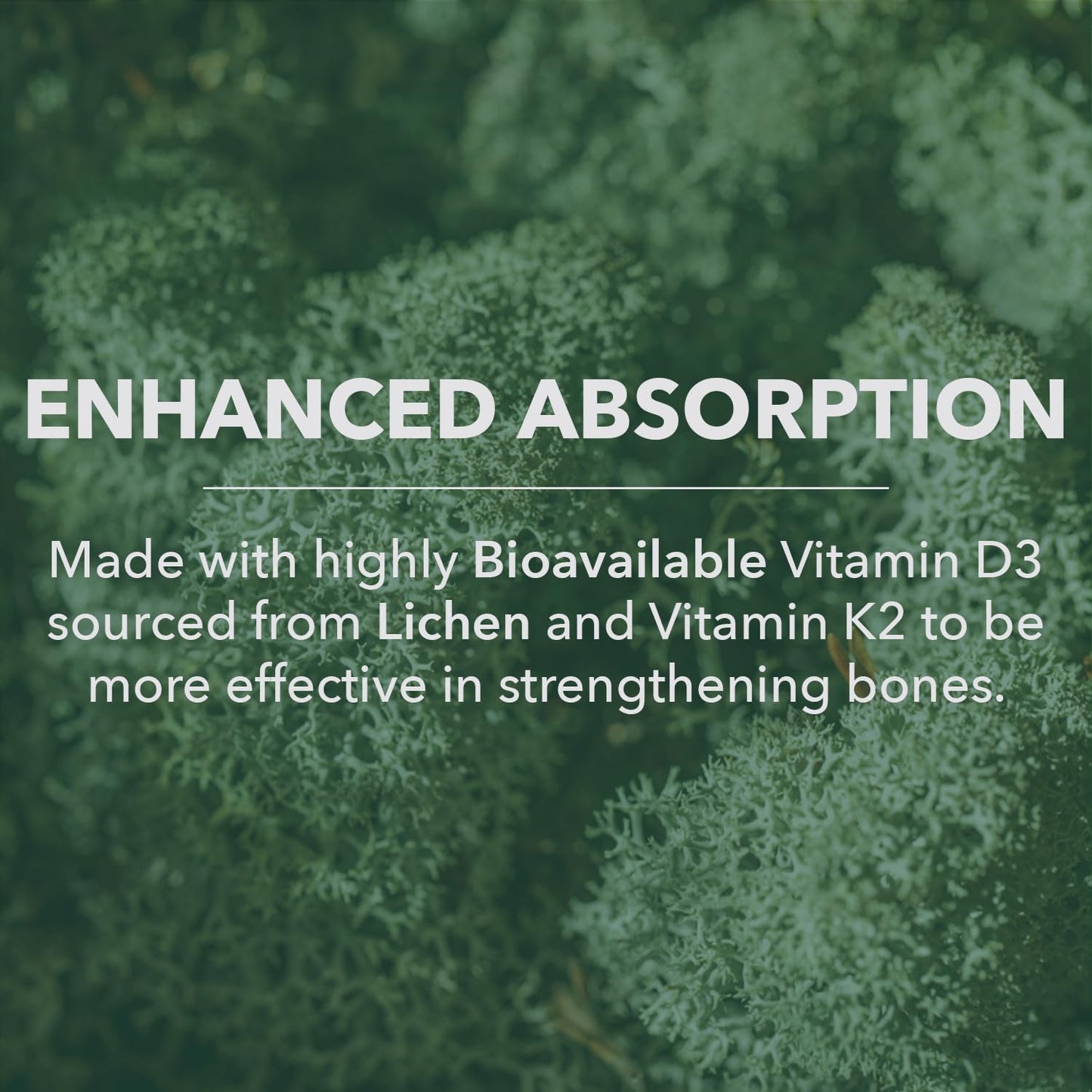 PlantFusion Organic Vegan Vitamin D3 + K2 5,000 IU | 60 Capsules | Immune Support & Bone Health