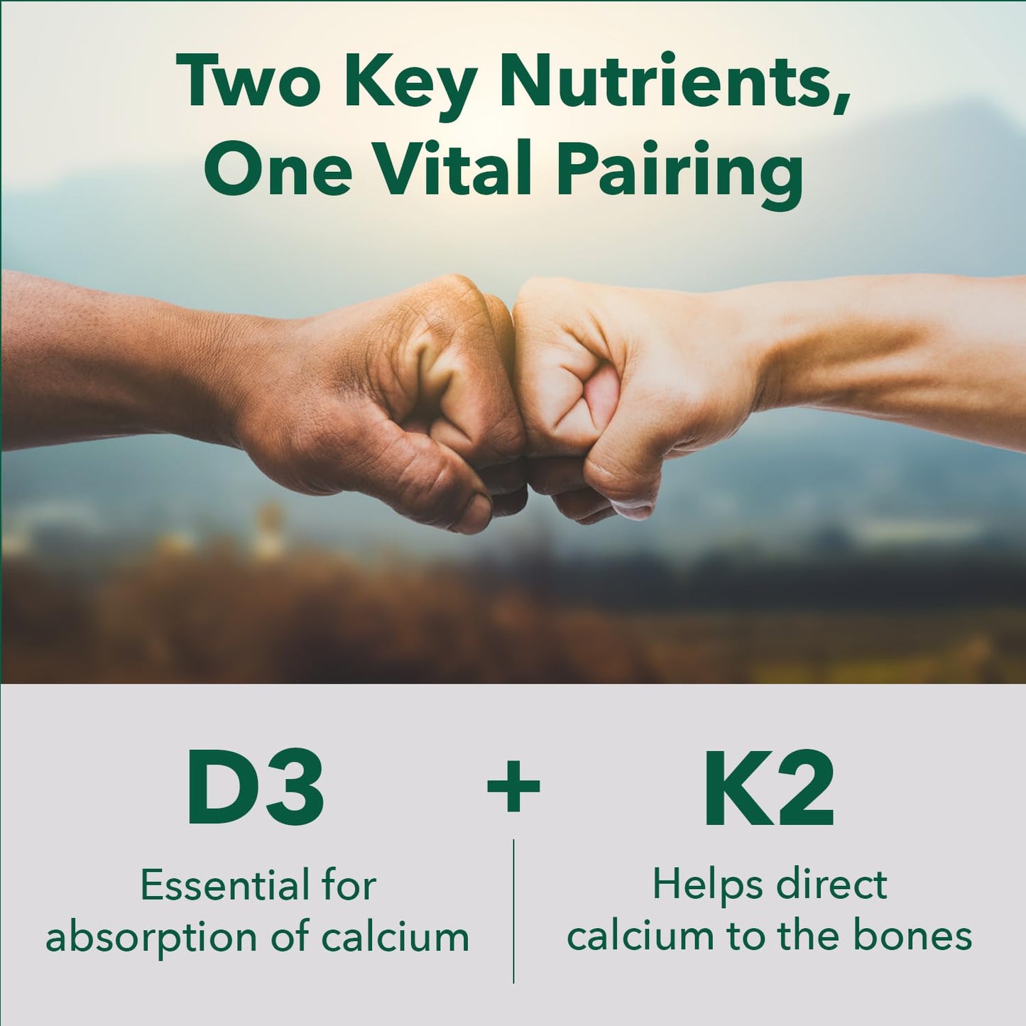 PlantFusion Organic Vegan Vitamin D3 + K2 5,000 IU | 60 Capsules | Immune Support & Bone Health