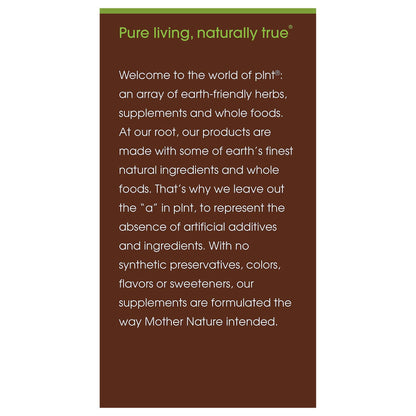 plnt Turmeric - Natural Non-GMO Turmeric Root for Joint Mobility & Antioxidant Support (120 Veg Capsules)