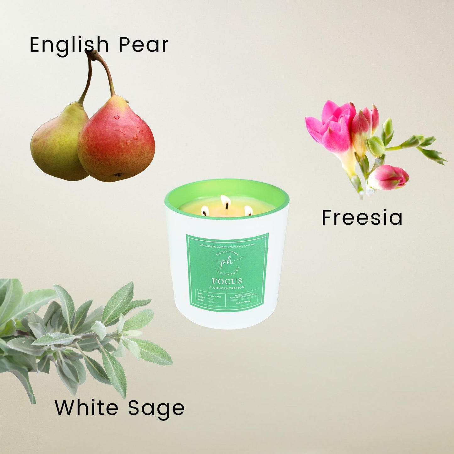 Podaras Home 12% Essential Oil Soy Wax Samplers — Gift Set of 5 Candles (45g each)