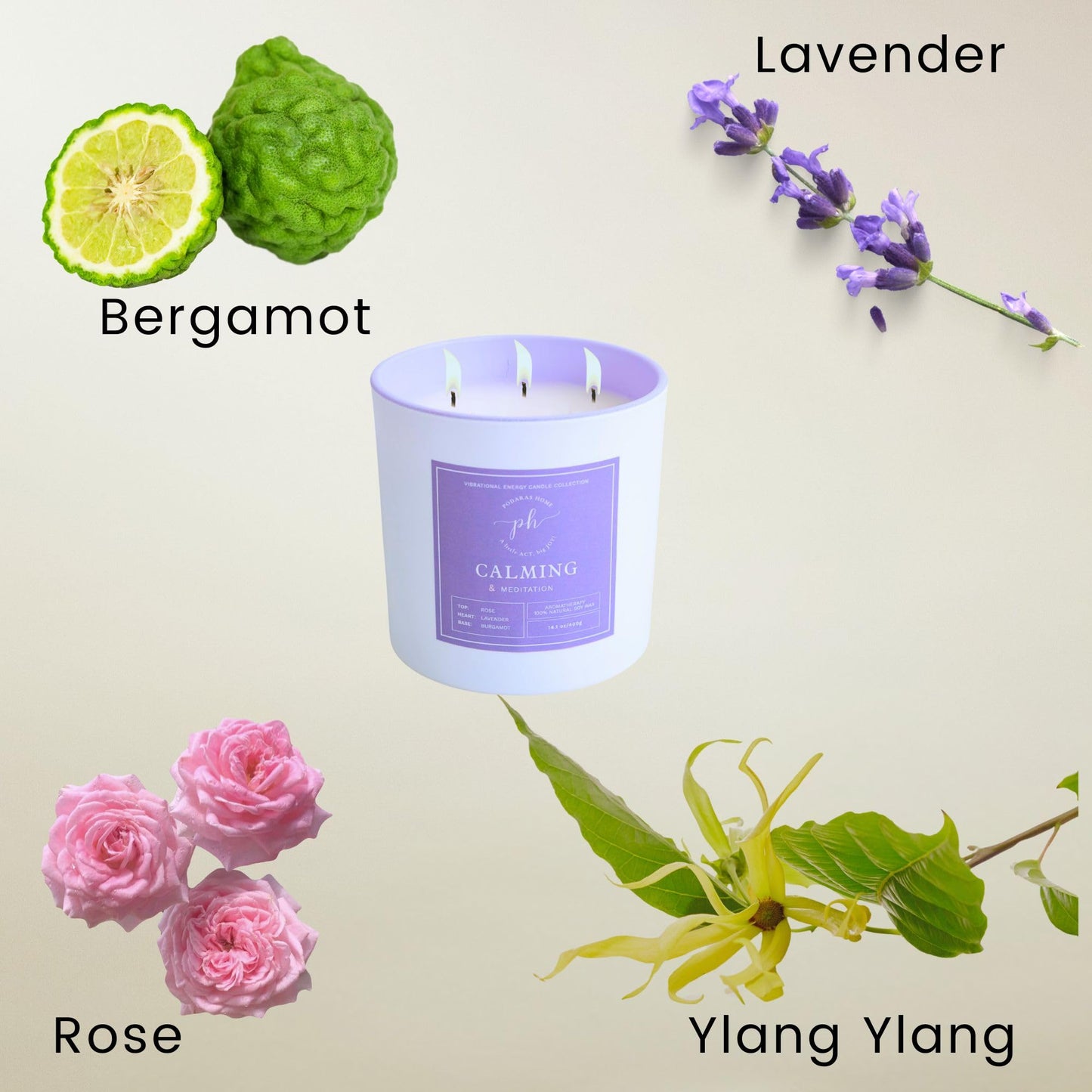 Podaras Home 12% Essential Oil Soy Wax Samplers — Gift Set of 5 Candles (45g each)