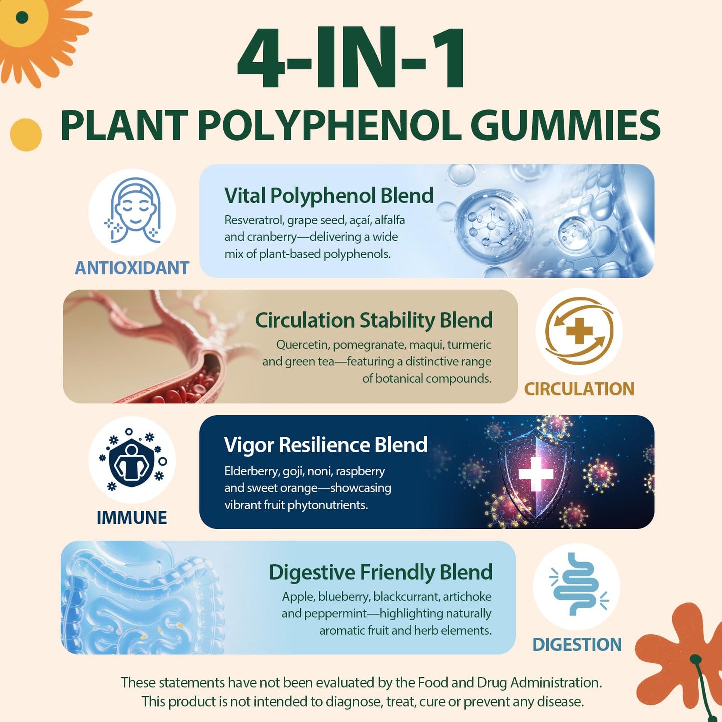 Polyphenol Gummies – Plant-Based Formula with Resveratrol, Elderberry & Turmeric (60 Gummies)
