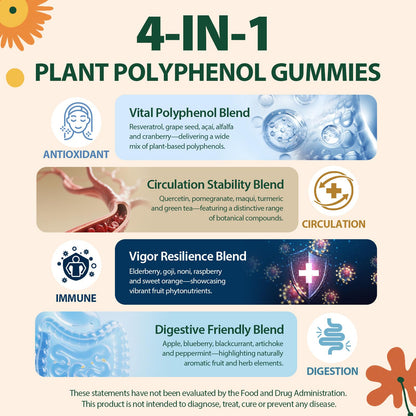 Polyphenol Gummies – Plant-Based Formula with Resveratrol, Elderberry & Turmeric (60 Gummies)