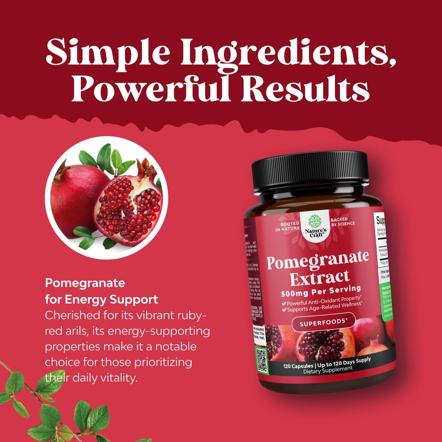 Pomegranate Antioxidant Supplement by Reds – Heart Health & Joint Support (120ct)