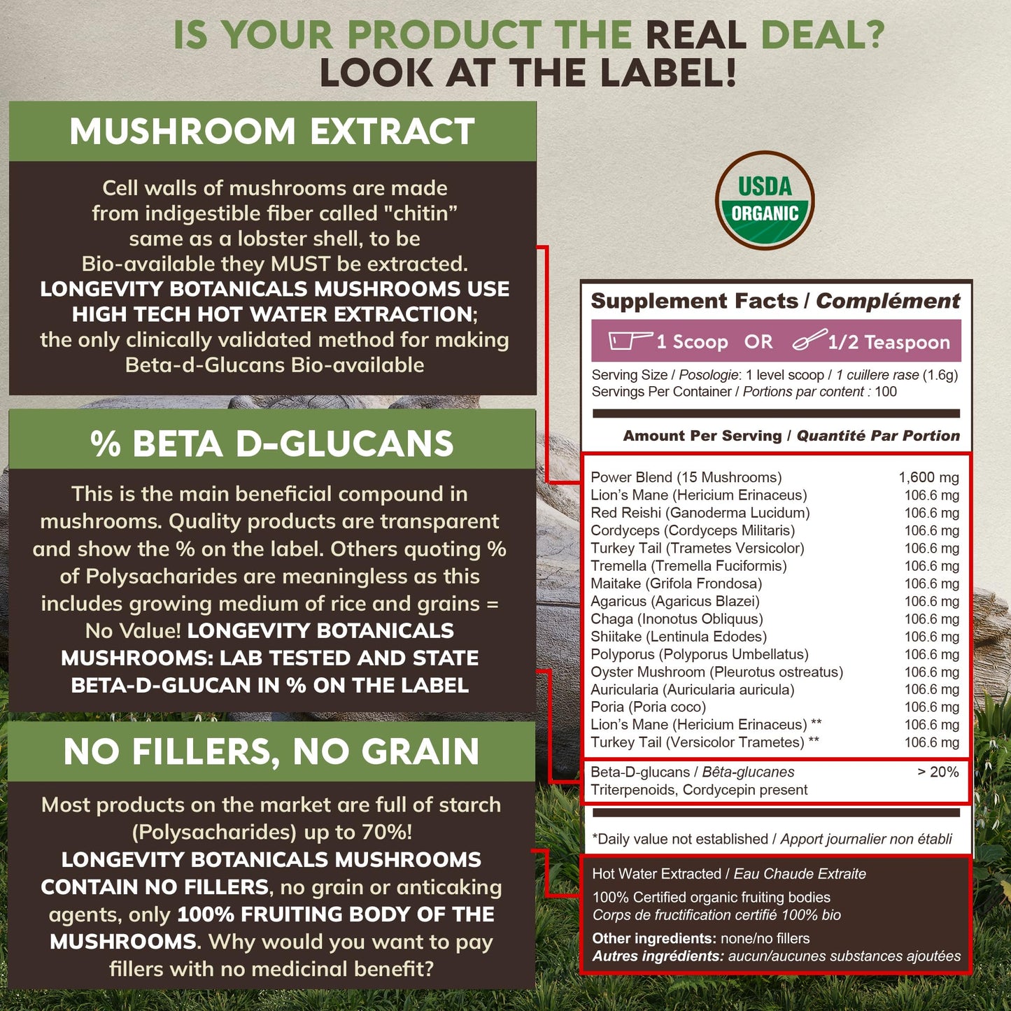Power 15 Mushroom Blend 100g – Immune Support & Vitality | Lion's Mane, Turkey Tail, Cordyceps, Reishi, Chaga & Tremella