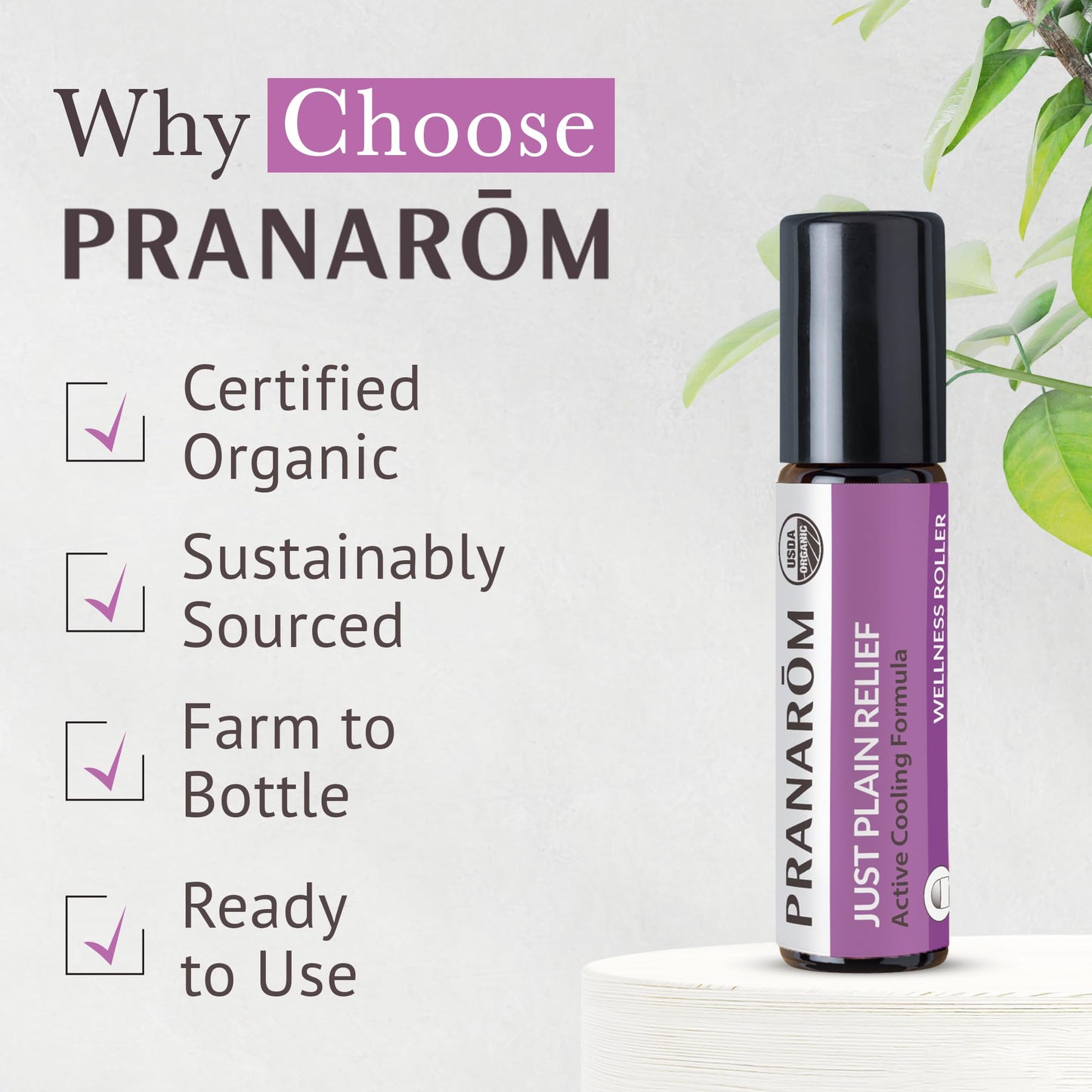 Pranarom Just Plain Relief Essential Oil Blend – Organic Lavender, Peppermint & Helichrysum, 8mL