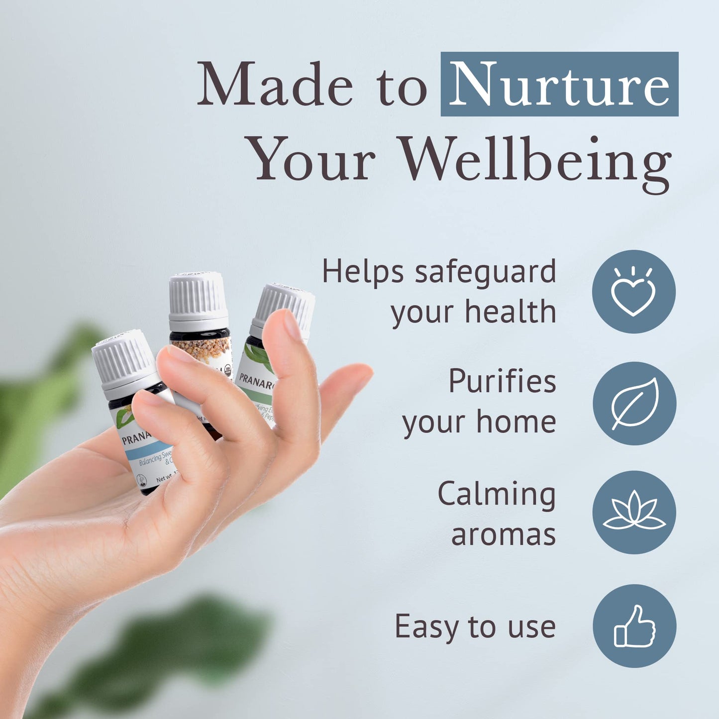 Pranarom Meditation Diffusion Essential Oil Kit - 3-Pack 5ml, 100% Pure Organic (USDA & ECOCERT)