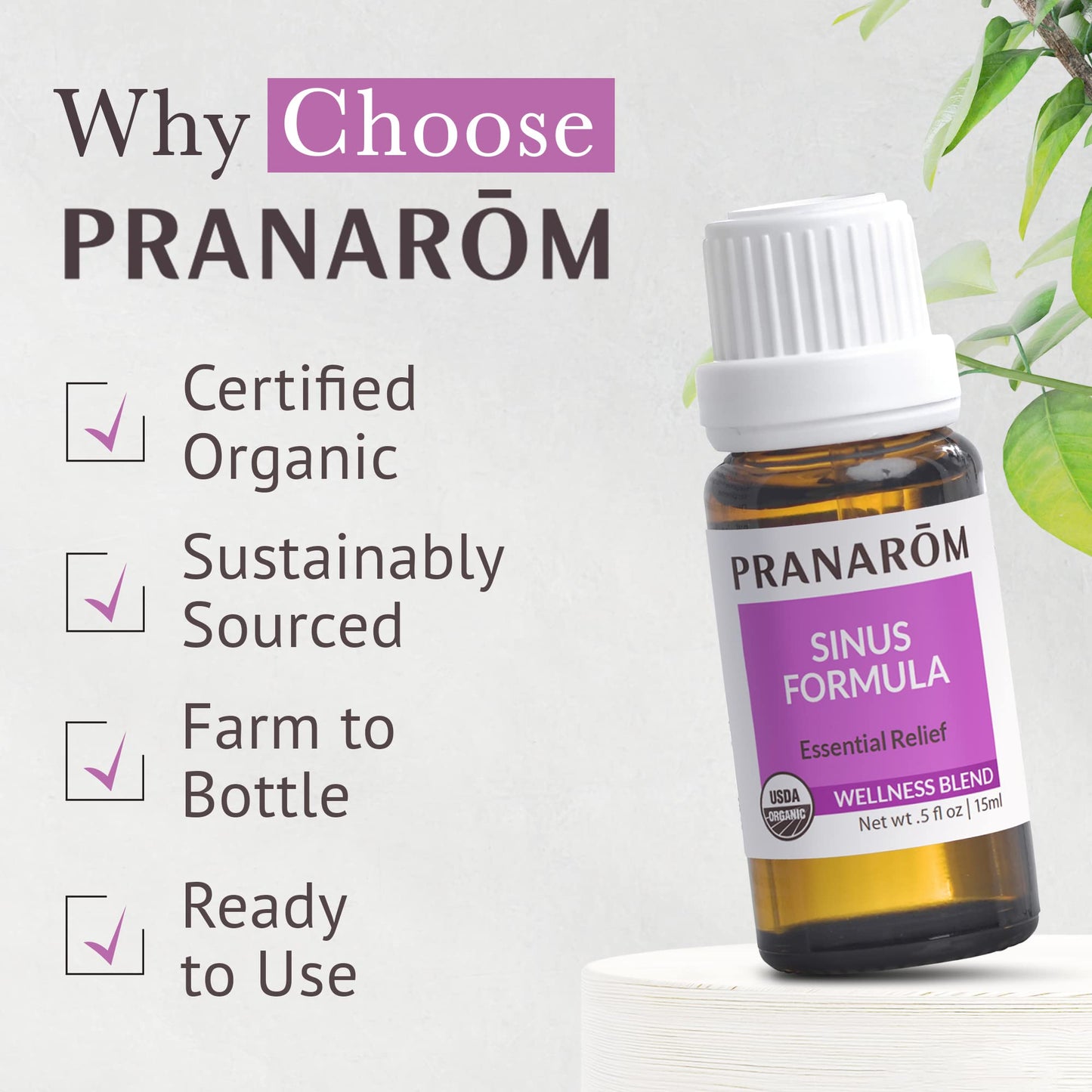 Pranarom Sinus Formula – Organic Essential Oils for Health (15ml)