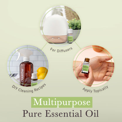 Pranarom Top 5 Essential Oil Kit (5-Pack) - Lavender, Peppermint, Tea Tree, Eucalyptus, Lemongrass - 100% Pure Organic Oil (USDA & ECOCERT)