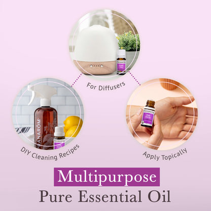 Pranarom Unplug Wellness Essential Oil Kit – 3-Pack 5ml | Digital Detox & Focus