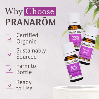 Pranarom Unplug Wellness Essential Oil Kit – 3-Pack 5ml | Digital Detox & Focus