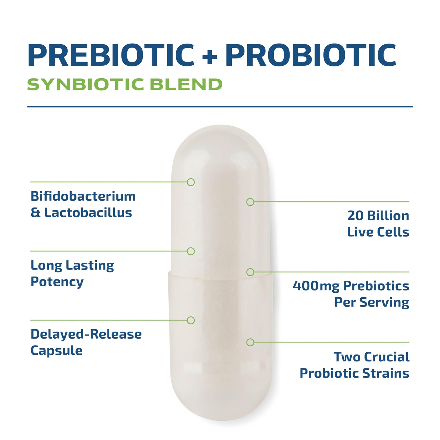 Prebiotics & Probiotics for Women & Men — Synbiotic 20B CFU | 60 Count | Vegetarian