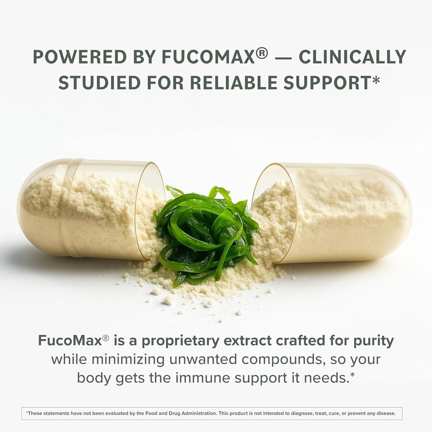 Prominent Nutrition Fucoidan – Gut Health & Immune Support, 250mg, 60 Count | Premium Brown Seaweed Extract