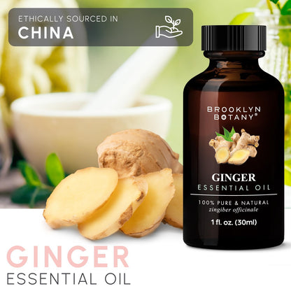 Brooklyn Botany Ginger Essential Oil – 100% Pure & Natural, Premium Grade, 1 Fl Oz