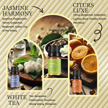 Premium Hotel Diffuser Oils Set – 6x10ml (White Tea, Velvet Night)