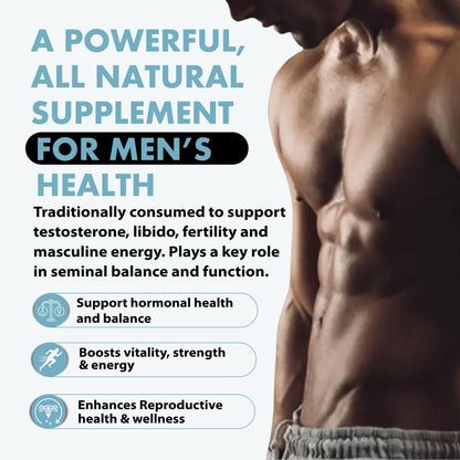 Primal Being Grassfed Beef Testes Capsules – NZ Sourced, 2,000 mg per Serving, 120 Capsules