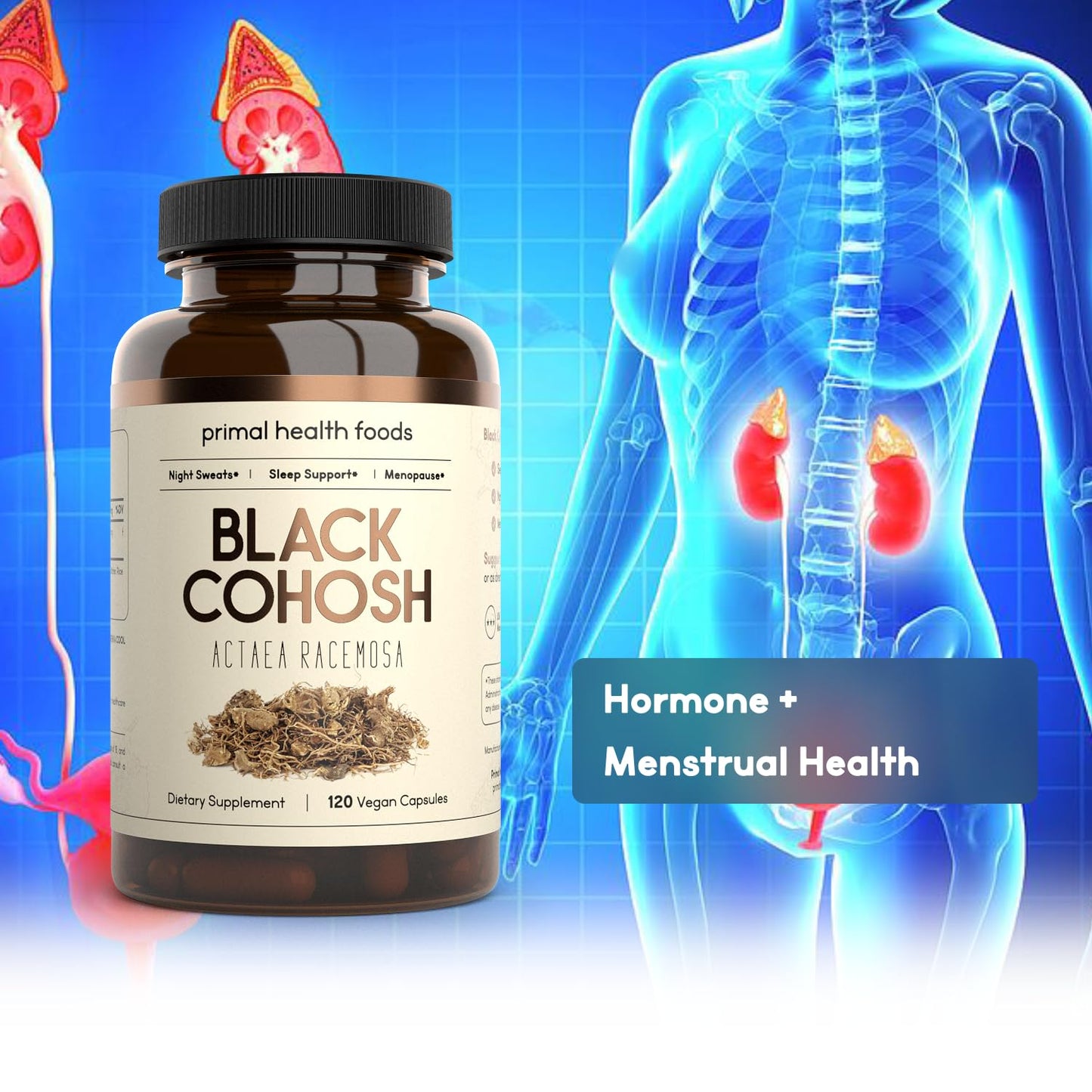 Primal Health Foods Organic Black Cohosh 1000 mg | Menopause & Sleep Support