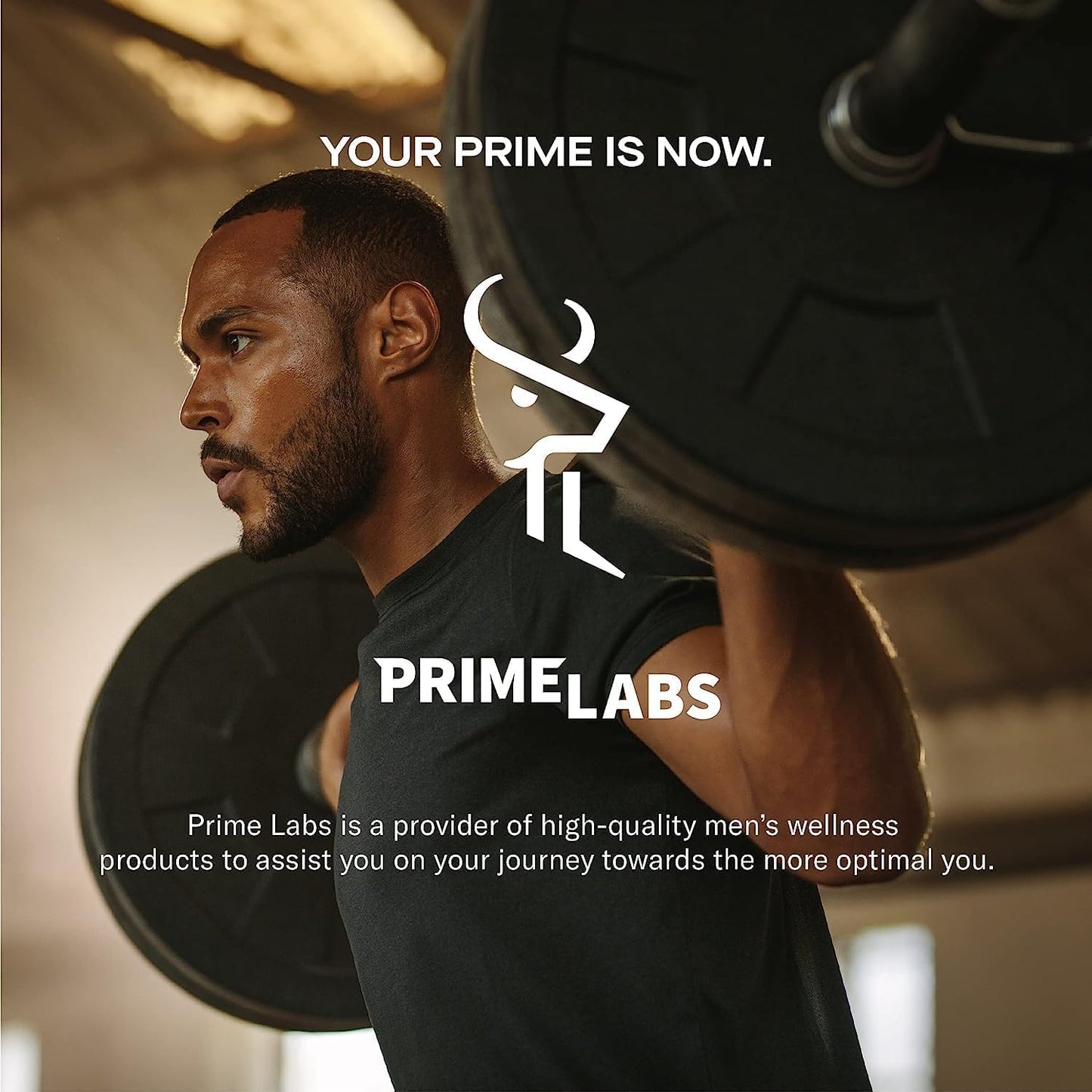 Prime Labs Creatine HCl Capsules – CON-CRĒT, Rhodiola Root Extract & L-Theanine | Muscle Support, Endurance & Cognitive Function – For Men & Women – 60 Pills