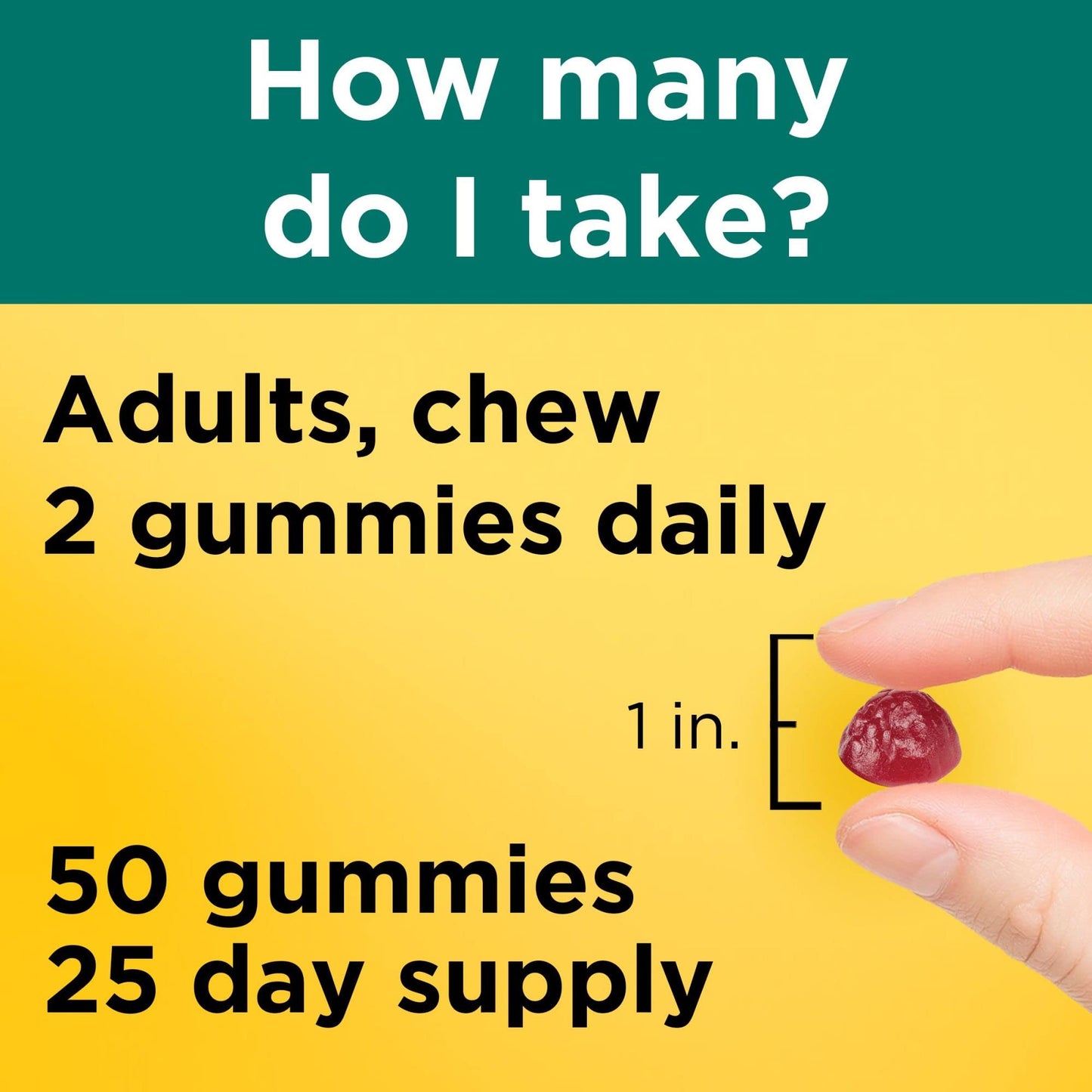 Nature Made Digestive Probiotics & Energy B12 Gummies – 50 Gummies, 25 Day Supply (Women & Men)
