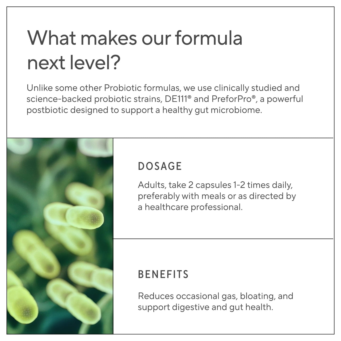 Premium 4-in-1 Probiotic with Prebiotic, Postbiotic & Digestive Enzymes – Gut Health, Digestion & Immunity – 60 Capsules