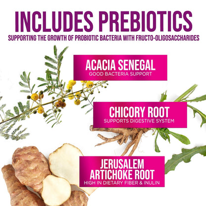 Probiotics 60B CFU – 10 Strains + Prebiotics | Digestive, Gut & Immune Support | 180 Capsules