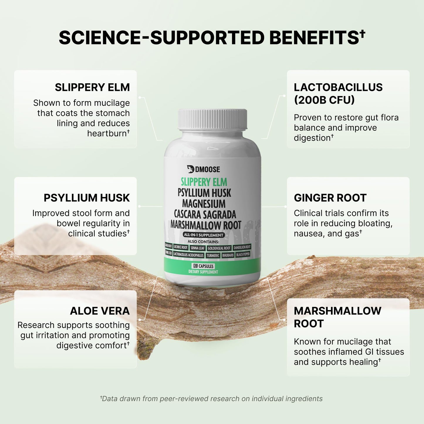 16-in-1 Slippery Elm Bark for Gut Health - Women & Men