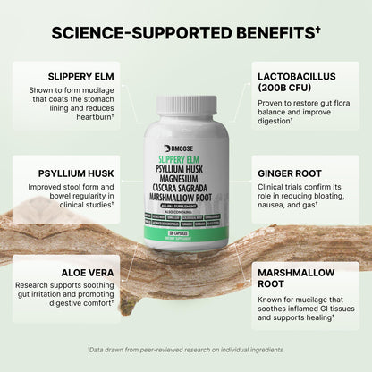 16-in-1 Slippery Elm Bark for Gut Health - Women & Men