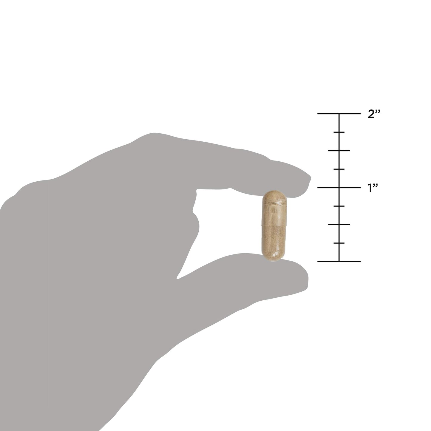 Ancient Nutrition Probiotics Ultimate 100 Billion CFU/Serving – Gluten Free, 60 Capsules