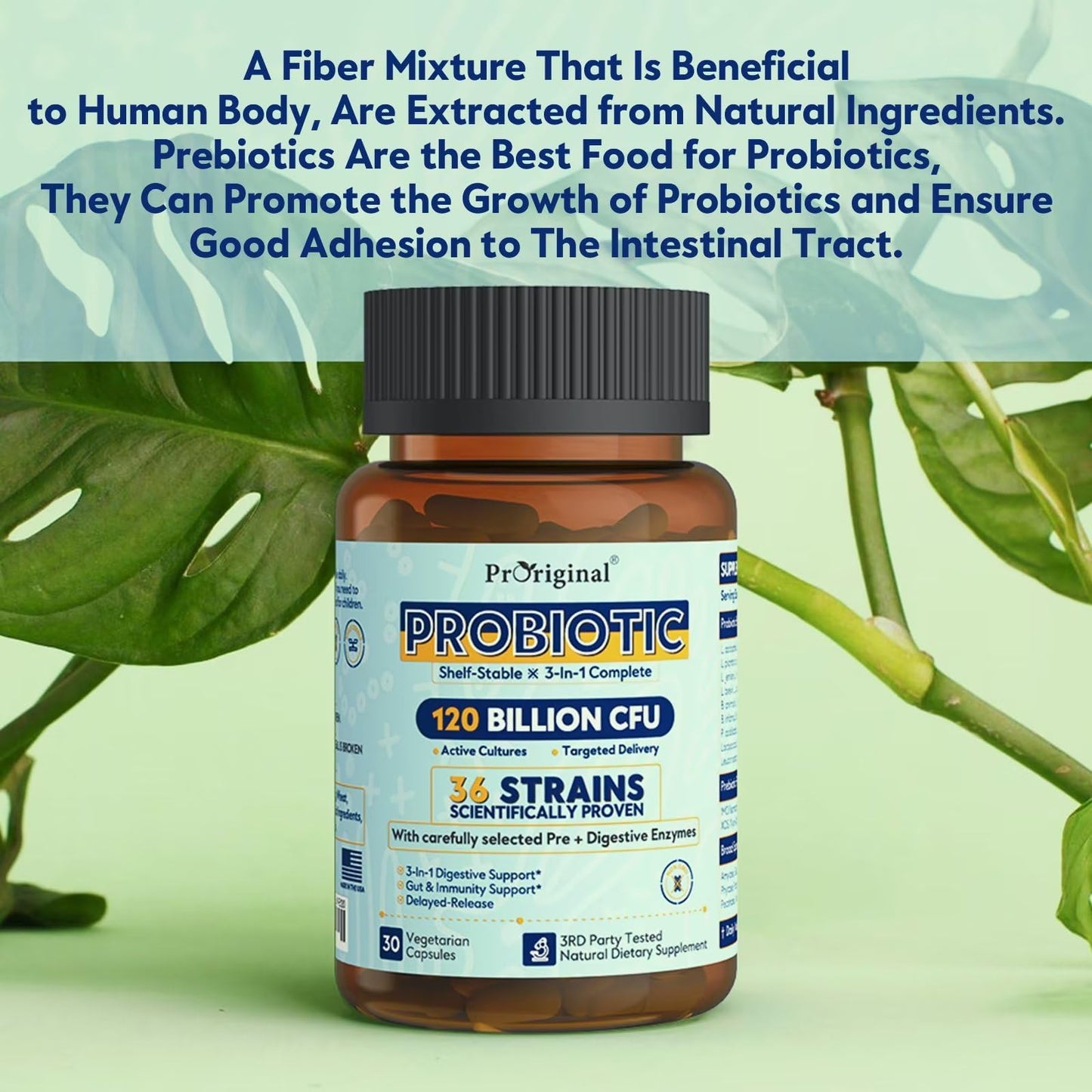 Probiotics for Women & Men - 120 Billion CFU, 36 Strains | Digestive & Gut Health | Delayed Release