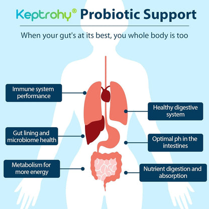 Probiotics for Women & Men – 300B CFU, 12 Strains, Organic Prebiotics | 60 Capsules